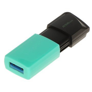 PENDRIVE 256 GB USB 3.2 PAMIĘĆ PRZENOŚNA KINGSTON FD-256/DTXM-KINGSTON